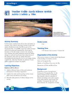 Salinity and Tides
