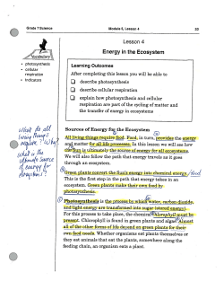 Lesson 4 Energy in the Ecosystem