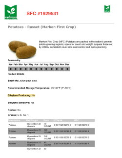 Potatoes - Russet (Markon First Crop)
