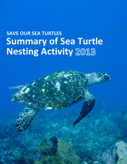 Activity Report 2013