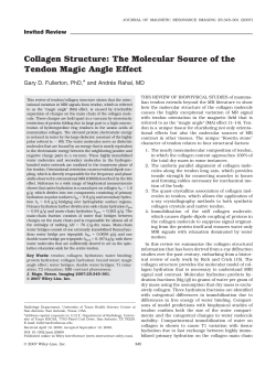 Collagen structure: The molecular source of the tendon magic angle