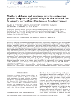 Northern richness and southern poverty