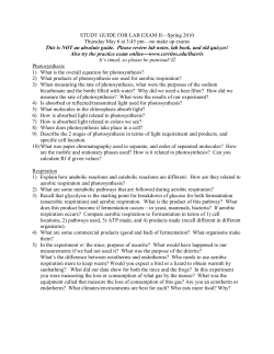 study guide for lab exam ii
