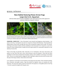 press release - Resorts World Sentosa