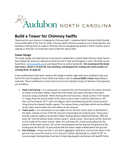 Build a Tower for Chimney Swifts