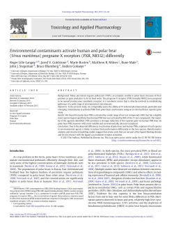 Environmental contaminants activate human and polar bear (Ursus