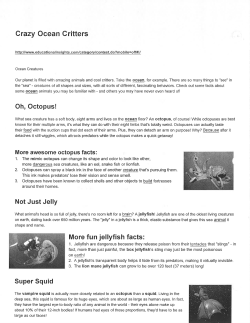 More fun jellyfish facts: