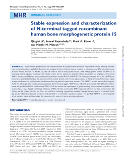 Stable expression and characterization of N