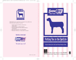 Show Lamb Guide - The Judging Connection .com