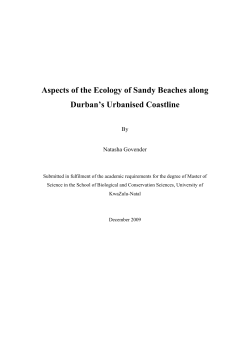 Aspects of the Ecology of Sandy Beaches along Durban`s Urbanised