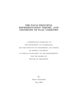 the pauli principle, representation theory, and geometry of flag