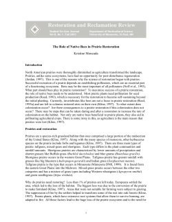 The Role of Native Bees in Prairie Restoration