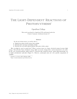 The Light-Dependent Reactions of Photosynthesis