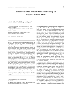 History and the Species-Area Relationship in Lesser