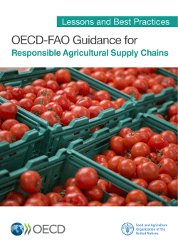 Lessons Learnt and Best Practices