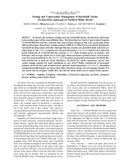 Nesting and Conservation Management of Hawksbill Turtles