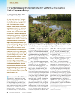 For switchgrass cultivated as biofuel in California, invasiveness