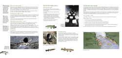 Fish friendly culverts and rock ramps