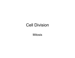 2 Cell Division.pptx