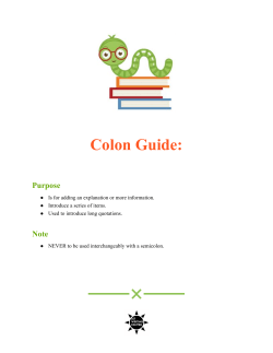 Colon Guide: