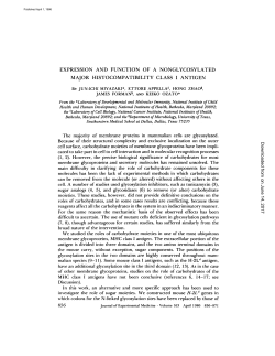 EXPRESSION AND FUNCTION OF A NONGLYCOSYLATED