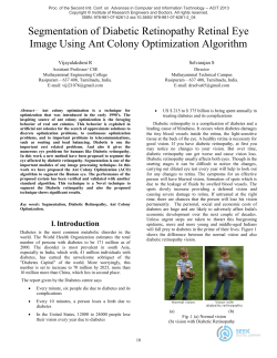 Segmentation of Diabetic Retinopathy Retinal Eye Image Using Ant