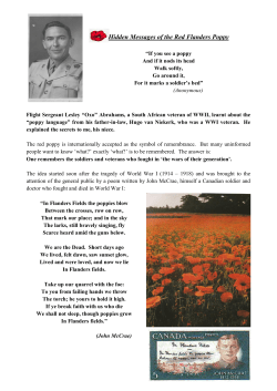 Hidden Messages of the red Flanders Poppy