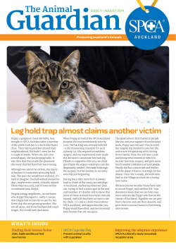 Issue 11 August 2014