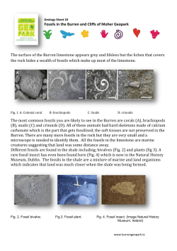 Geology-Sheet-18-Fossils