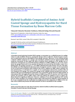 Hybrid Scaffolds Composed of Amino