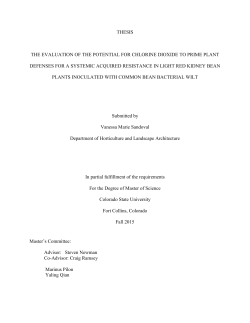 Sandoval_colostate_0053N_13300