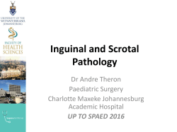 Inguinal and Scrotal Pathology