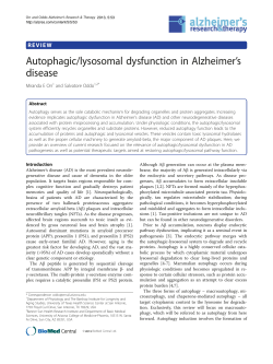 Autophagic/lysosomal dysfunction in Alzheimer`s disease