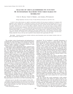 analysis of circular bordered pit function ii. gymnosperm tracheids