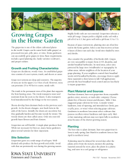 Growing Grapes in the Home Garden - Extension Store