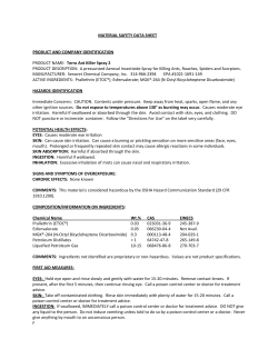 Terro Ant Killer Spray 2