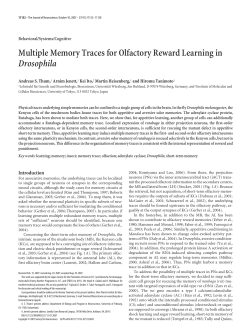 Multiple Memory Traces for Olfactory Reward Learning in Drosophila