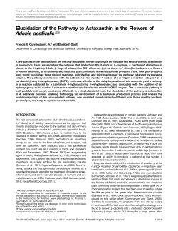 Elucidation of the Pathway to Astaxanthin in the