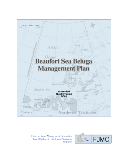 Beaufort Sea beluga management plan