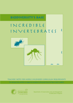 Biodiversity`s Base