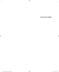 the blue rider