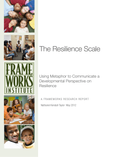 The Resilience Scale Metaphor Final
