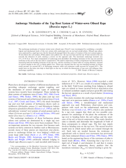 Anchorage Mechanics of the Tap Root System of