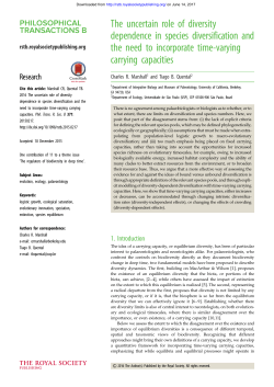 The uncertain role of diversity dependence in species diversification