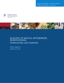 Scaling up Social enterpriSe innovationS