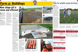 Kale for wildlife needs fertilizer