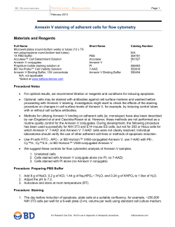 Annexin V Staining of Adherent Cells for Flow