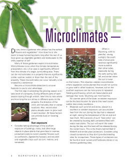 Extreme gardening: Microclimates - making
