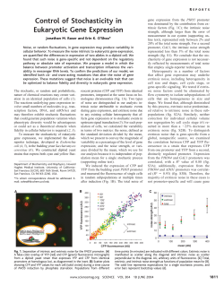 Control of Stochasticity in Eukaryotic Gene Expression