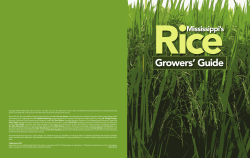 P2255 Mississippi`s Rice Growers` Guide